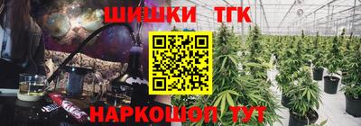 шишки Тверь
