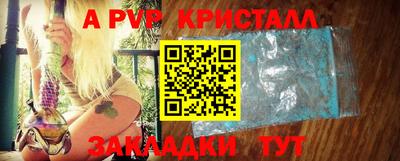 шишки Тверь