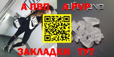шишки Тверь