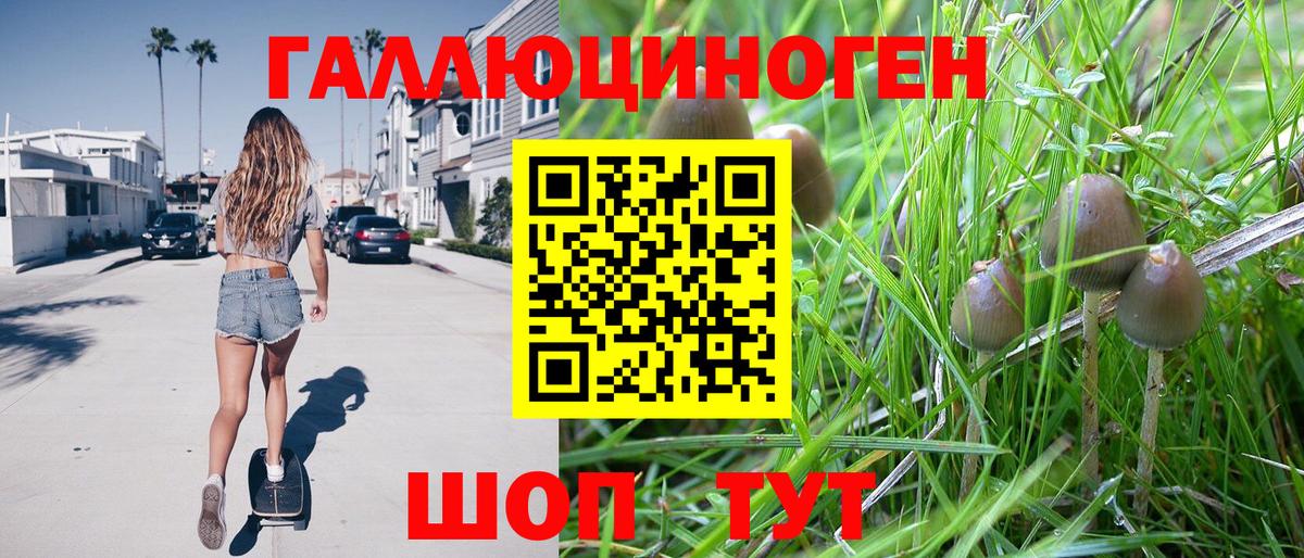 Галлюциногенные грибы Psilocybine cubensis Новотроицк