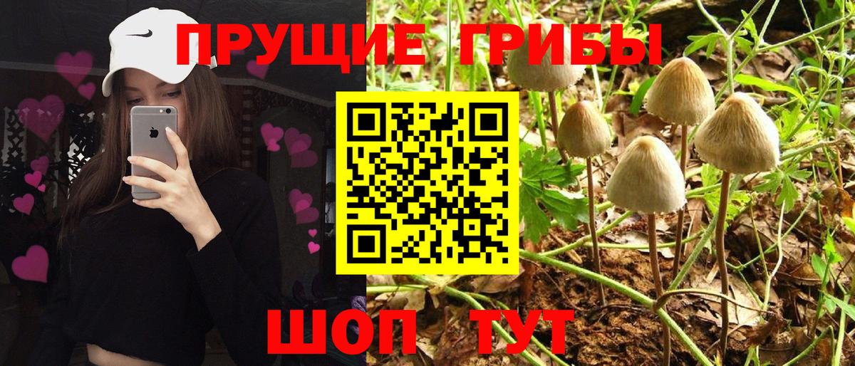 где продают наркотики  Галлюциногенные грибы ЛСД  Вход с VPN  Псилоцибиновые грибы Magic Shrooms  Новотроицк 